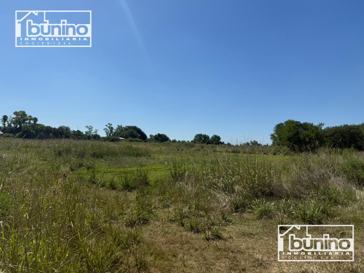 Campo en venta en Ibarlucea